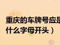 重庆的车牌号应是什么开头（重庆车牌分别是什么字母开头）