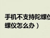 手机不支持陀螺仪怎么办软件（手机不支持陀螺仪怎么办）