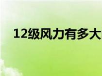 12级风力有多大的力（12级风力有多大）