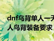 dnf鸟背单人一天可以得到多少奖励（dnf单人鸟背装备要求）