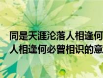 同是天涯沦落人相逢何必曾相识是什么意思（同是天涯沦落人相逢何必曾相识的意思）