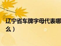 辽宁省车牌字母代表哪个地方（辽宁省车牌号字母代表是什么）