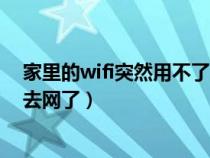 家里的wifi突然用不了了是怎么回事（家里的wifi突然上不去网了）