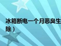 冰箱断电一个月恶臭生蛆怎么办（冰箱停电肉腐臭味怎么去除）