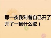 那一夜我对着自己开了一枪什么歌金帅（那一夜我对着自己开了一枪什么歌）