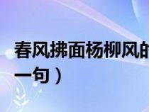 春风拂面杨柳风的诗句（春风拂面杨柳绿的下一句）