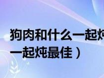 狗肉和什么一起炖最佳小孩能吃（狗肉和什么一起炖最佳）