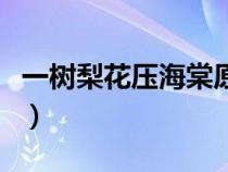 一树梨花压海棠原诗（一枝梨花压海棠的意思）