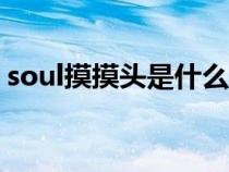 soul摸摸头是什么意思（摸摸头是什么意思）