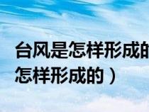 台风是怎样形成的?为什么称为台风?（台风是怎样形成的）