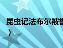 昆虫记法布尔被誉为什么（法布尔被誉为什么）