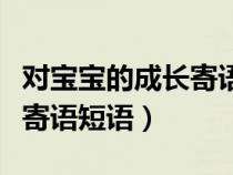 对宝宝的成长寄语短语有哪些（对宝宝的成长寄语短语）