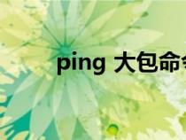 ping 大包命令（丢大包是什么梗）