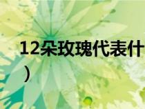 12朵玫瑰代表什么意思（12朵玫瑰代表什么）