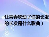 让青春吹动了你的长发是什么歌曲刘德华（让青春吹动了你的长发是什么歌曲）