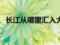 长江从哪里汇入大海（长江有几个入海口）