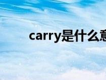 carry是什么意思（cry是什么意思）