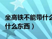 坐高铁不能带什么东西过安检（坐高铁不能带什么东西）