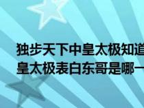 独步天下中皇太极知道东哥是穿越过来的吗（《独步天下》皇太极表白东哥是哪一集）