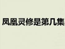 凤凰灵修是第几集（凤凰灵修为什么露真身）