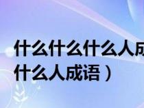 什么什么什么人成语琴什么什么人（什么什么什么人成语）