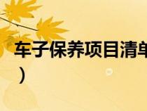 车子保养项目清单（车辆保养项目清单是什么）