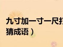 九寸加一寸一尺打一成语（九寸加一寸＝一尺猜成语）