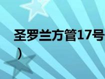 圣罗兰方管17号是什么颜色（圣罗兰方管17）