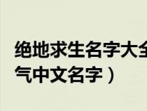 绝地求生名字大全霸气英文名字（绝地求生霸气中文名字）