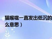 猫喉咙一直发出低沉的咕咕声（猫发出咕噜咕噜的声音是什么意思）