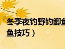 冬季夜钓野钓鲫鱼技巧图解（冬季夜钓野钓鲫鱼技巧）