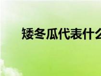 矮冬瓜代表什么生肖（矮冬瓜打一字）