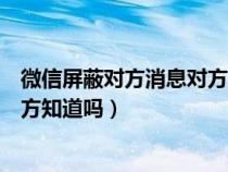 微信屏蔽对方消息对方知道吗朋友圈（微信屏蔽对方消息对方知道吗）