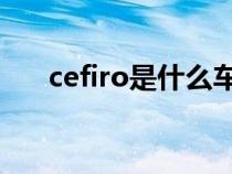 cefiro是什么车（cerato是什么车型）