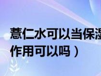 薏仁水可以当保湿水用吗（薏仁水当爽肤水的作用可以吗）