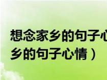 想念家乡的句子心情回到老家的感受（想念家乡的句子心情）