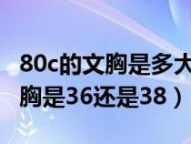 80c的文胸是多大码数是36还是38（80c的文胸是36还是38）