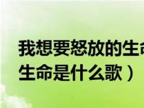 我想要怒放的生命是什么歌?（我想要怒放的生命是什么歌）