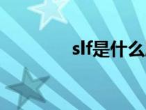 slf是什么牌子（slf是什么）