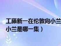 工藤新一在伦敦向小兰表白是第几集（工藤新一在伦敦表白小兰是哪一集）