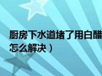 厨房下水道堵了用白醋怎么解决呢（厨房下水道堵了用白醋怎么解决）