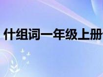 什组词一年级上册语文组词（什组词一年级）