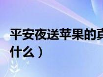 平安夜送苹果的真正意义（平安夜送苹果代表什么）