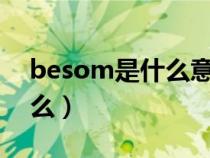 besom是什么意思（besos的中文意思是什么）