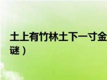 土上有竹林土下一寸金字谜是啥（土上有竹林土下一寸金字谜）