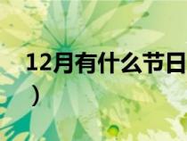 12月有什么节日和纪念日（12月有什么节日）