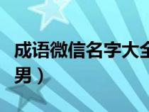 成语微信名字大全男霸气（成语微信名字大全男）