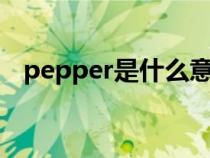 pepper是什么意思（butter是什么意思）