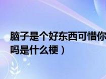 脑子是个好东西可惜你没有下一句怎么回（你脑子进萝北了吗是什么梗）