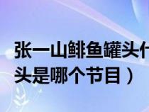 张一山鲱鱼罐头什么节目（张一山挑战鲱鱼罐头是哪个节目）